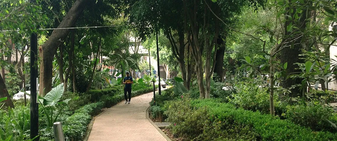 Nota sobre Domingo de ciclismo y zumba en Paseo de la Reforma