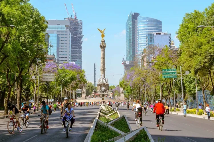 Nota sobre Ámsterdam, una calle para recorrer en la CDMX