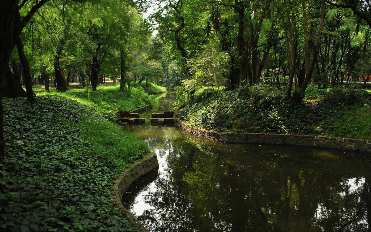 Nota sobre El pulmón de la metrópoli, Bosque de Chapultepec