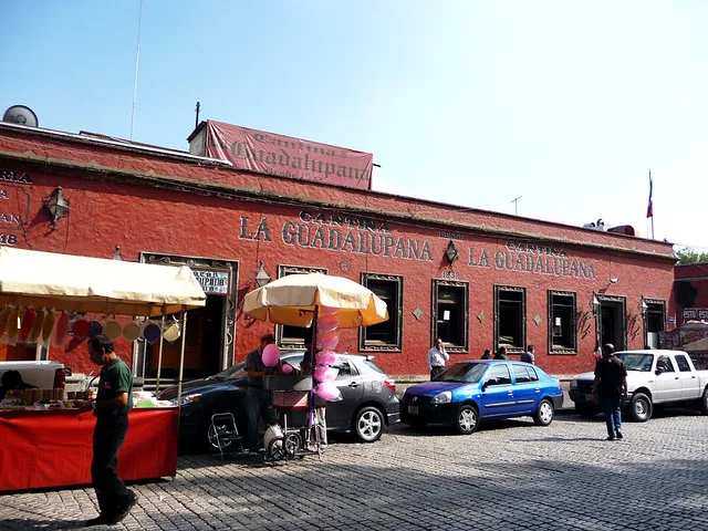 Nota sobre Una noche divertida en la Cantina La Guadalupana, Coyoacán