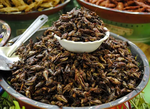 Nota sobre Come delicioso en el Mercado de antojitos de Coyoacán