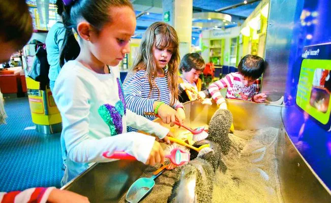 Nota sobre Tocando, jugando y aprendiendo en Papalote Museo del Niño