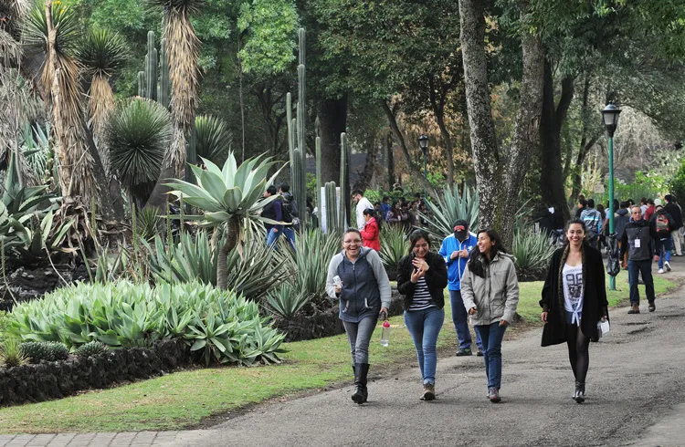 Nota sobre La naturaleza de la Ciudad de México