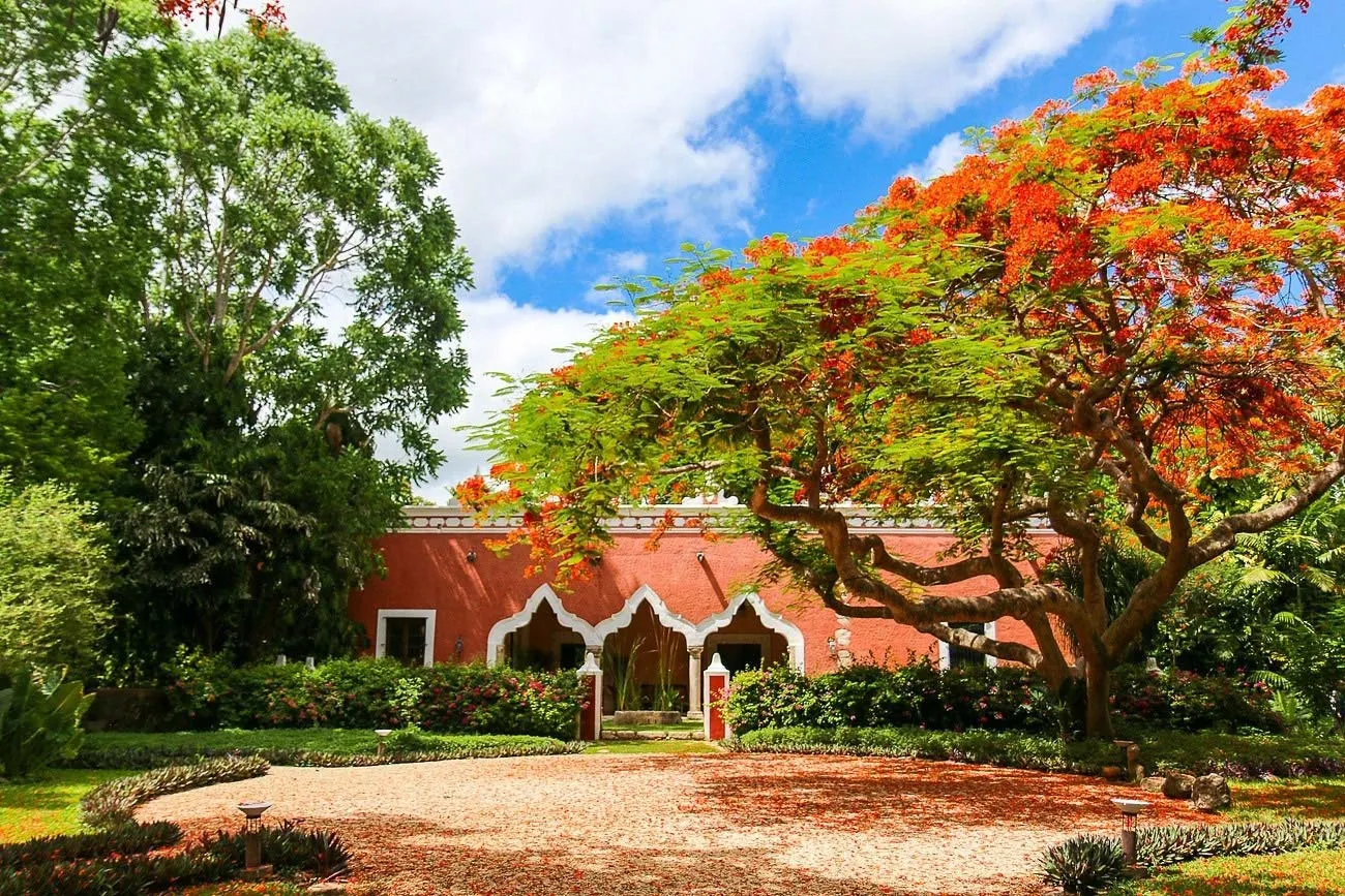 Nota sobre No te quedes sin visitar el Hotel Hacienda de los Santos en Álamos