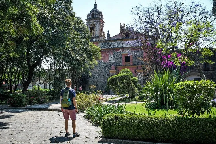 Nota sobre Paseando con tu familia por la Colonia Condesa