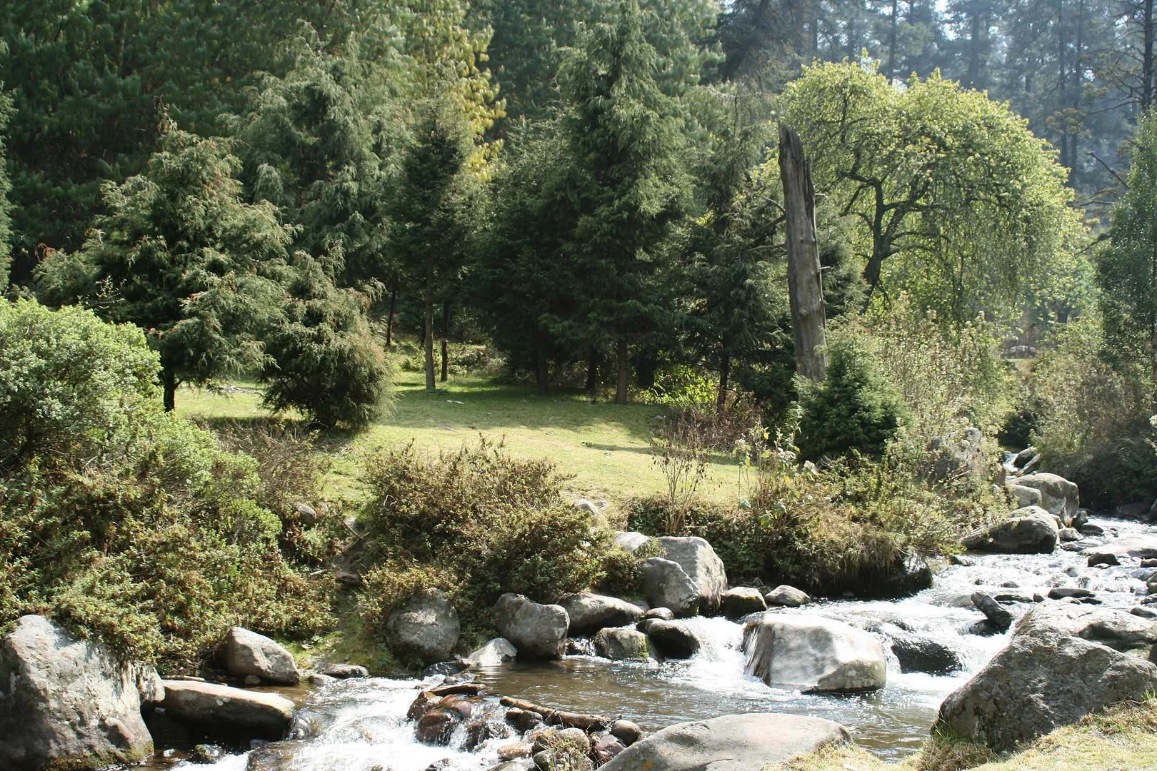 Nota sobre El bosque de Chapultepec, un hermoso lugar de la CDMX