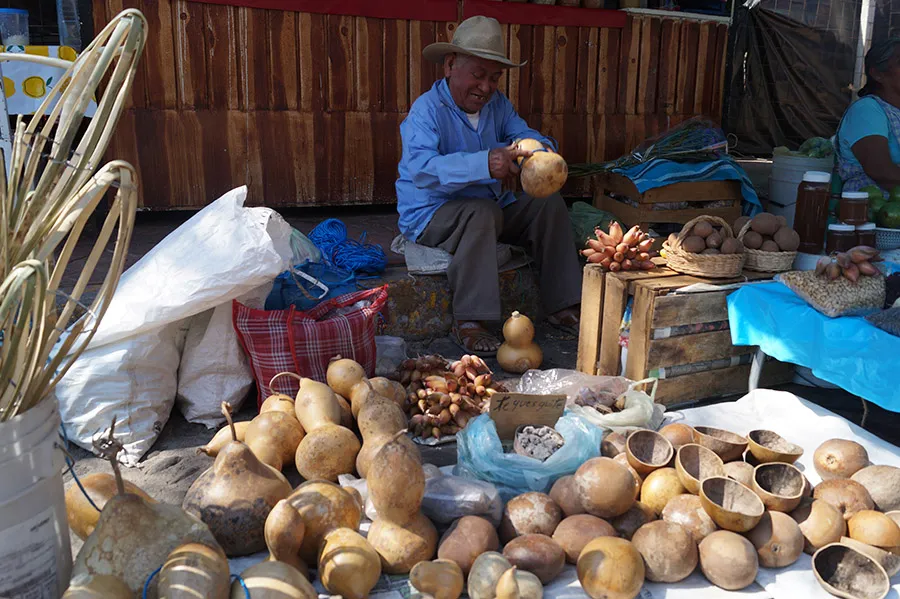 Nota sobre El arte de la madera en Malinalco