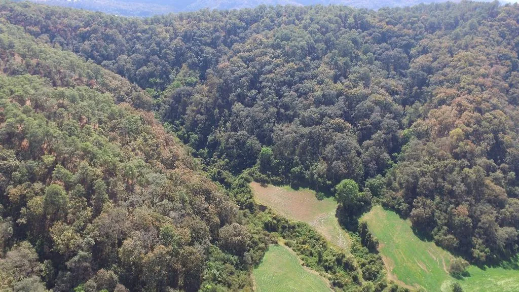 Nota sobre Disfruta de la bella naturaleza en Temascaltepec