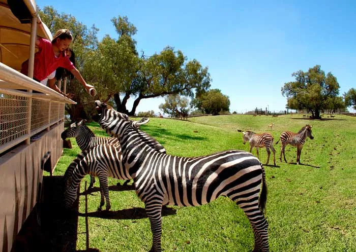 Nota sobre Diversión en familia en Reino Animal