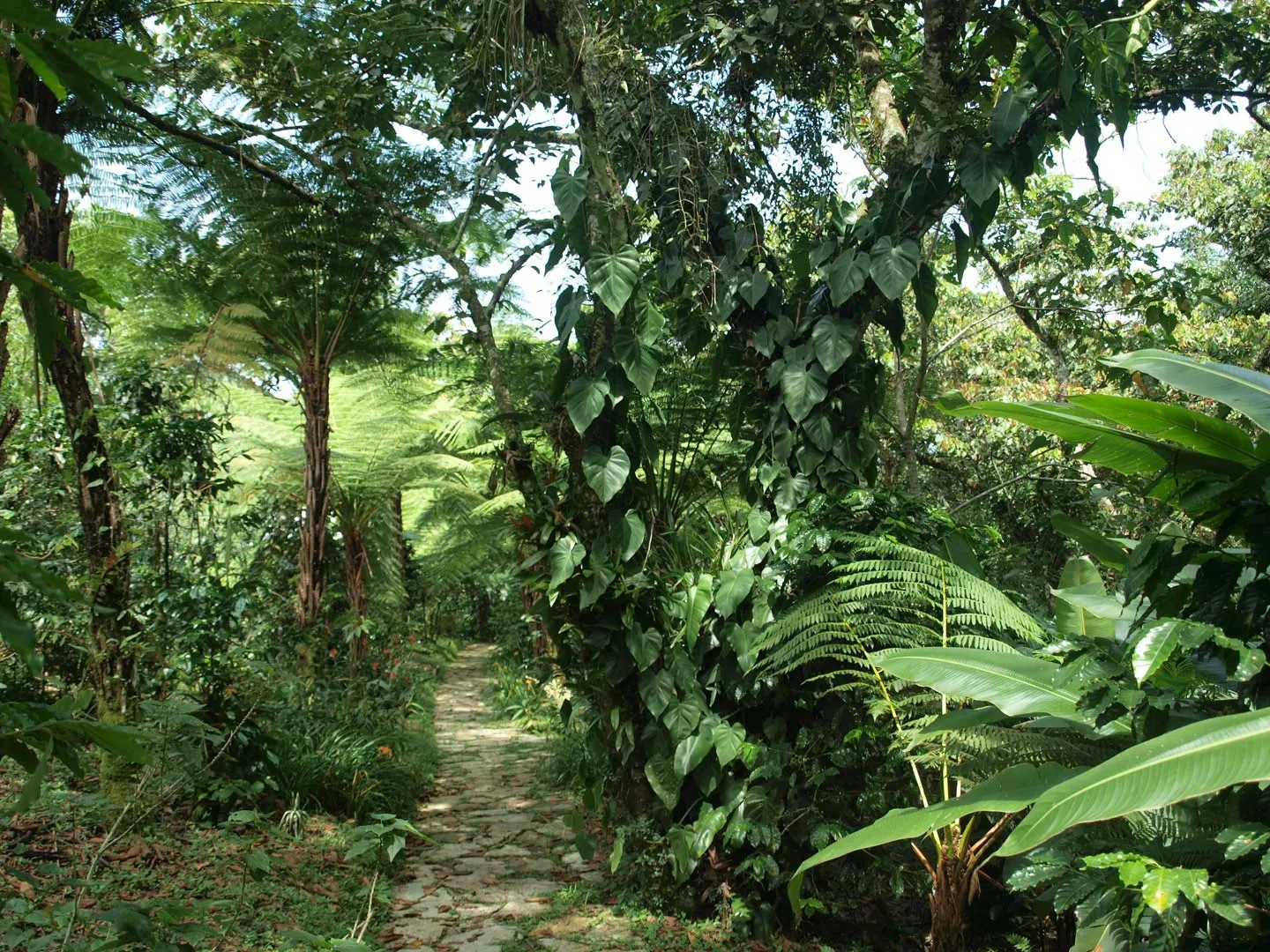 Nota sobre Vámonos de paseo por Ayapango, en el Estado de México