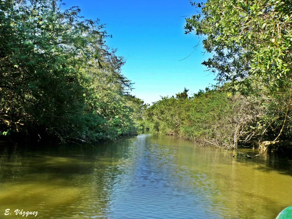 Nota sobre Paseo por la Laguna de Tres Palos, en Guerrero