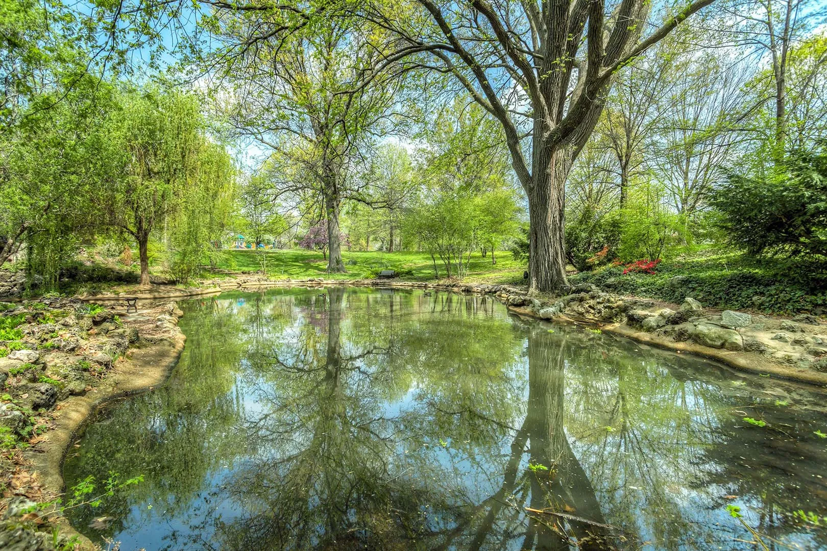 Nota sobre Acércate a la naturaleza en el parque ecoturístico Acuitlapan