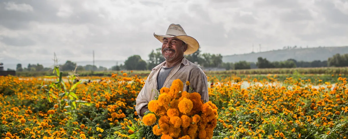 Nota sobre Día de Muertos en Pátzcuaro, Pueblo Mágico