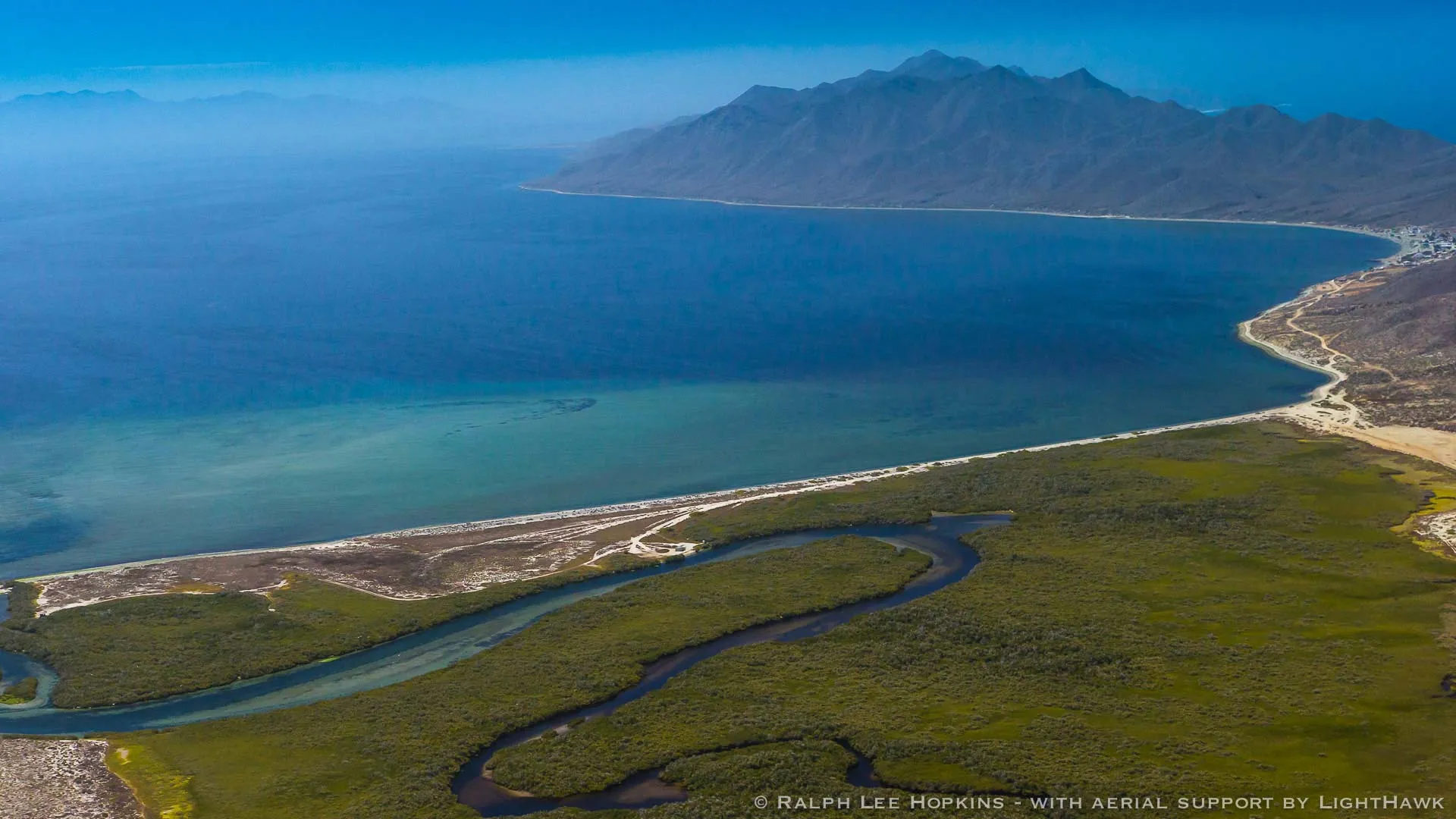 Nota sobre Laguna Ojo de Liebre, un lugar para conocer ballenas en Baja California Sur