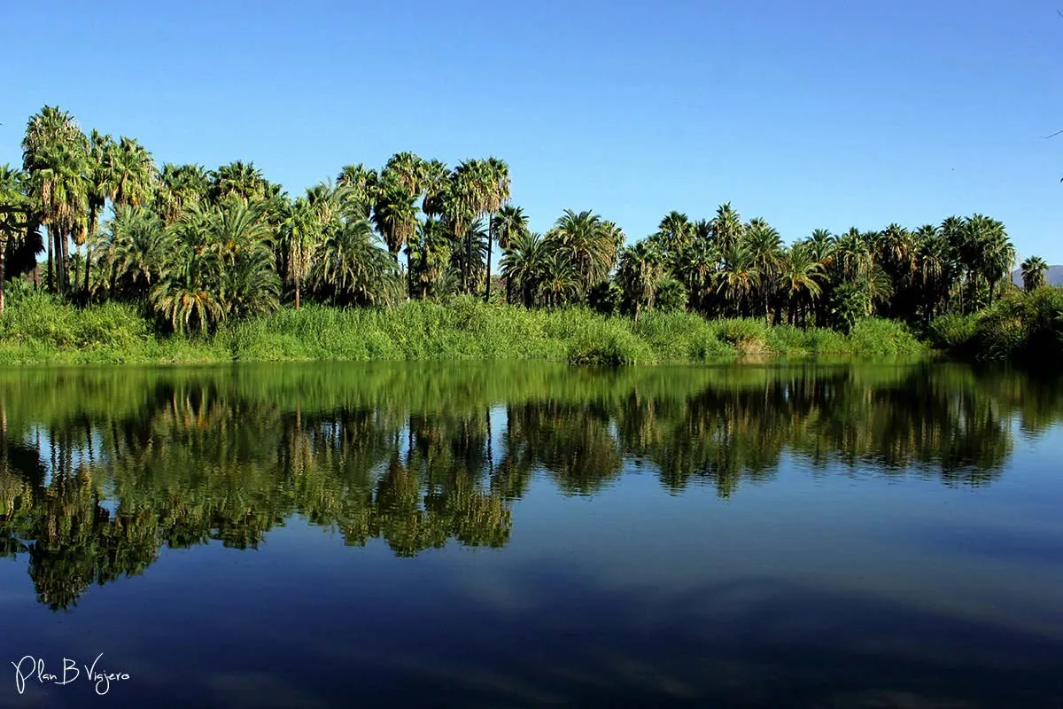 Nota sobre San Ignacio, lugar natural para el ecoturismo en Baja California Sur