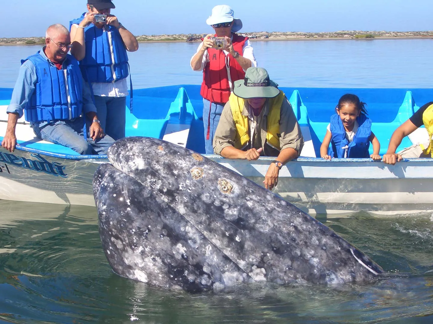 Nota sobre Aventura en Bahía Magdalena