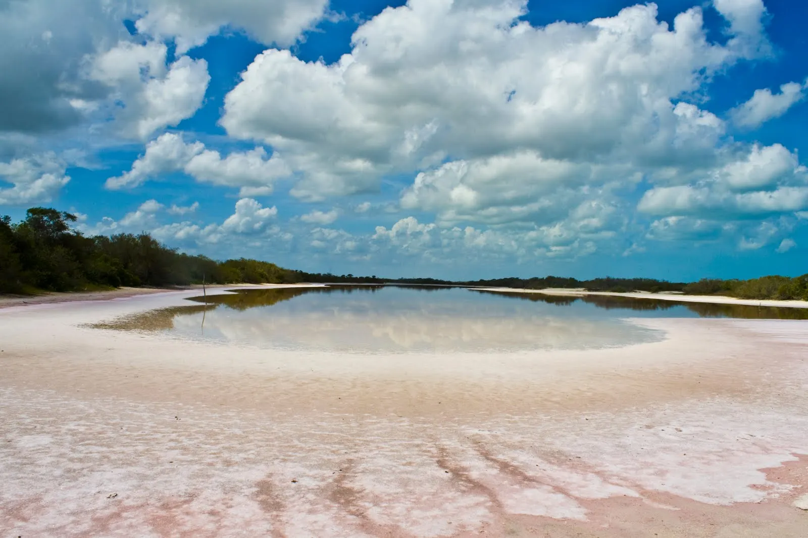 Nota sobre Santuario de Flamingos Rosados