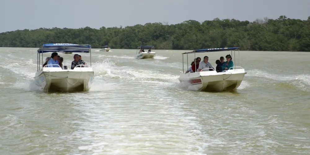 Nota sobre Celestún, una bella playa de Yucatán