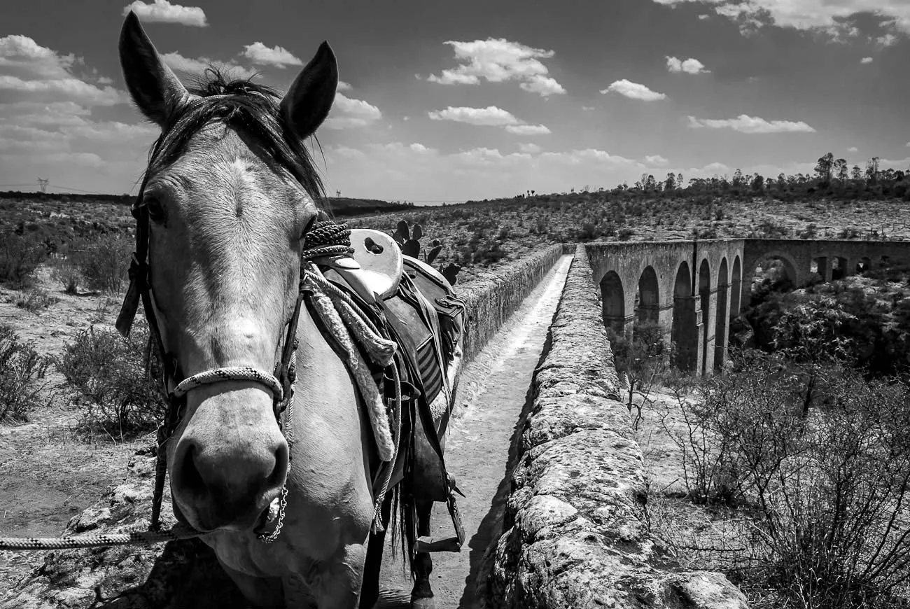 Nota sobre Pueblos Mágicos de Jalisco: Mazamitla, San Sebastián del Oeste y Tapalpa