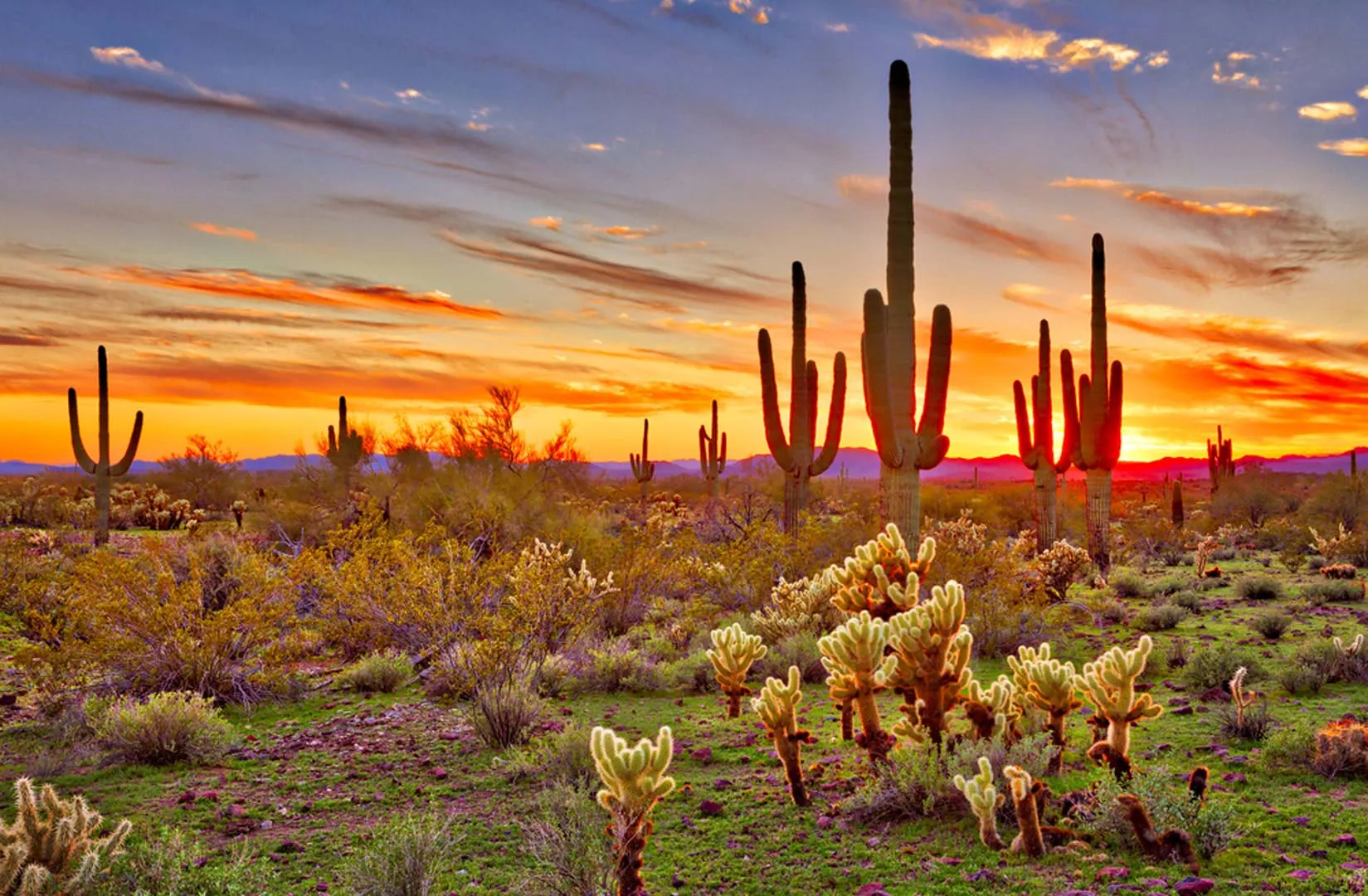 Nota sobre Desiertos mexicanos que debes conocer