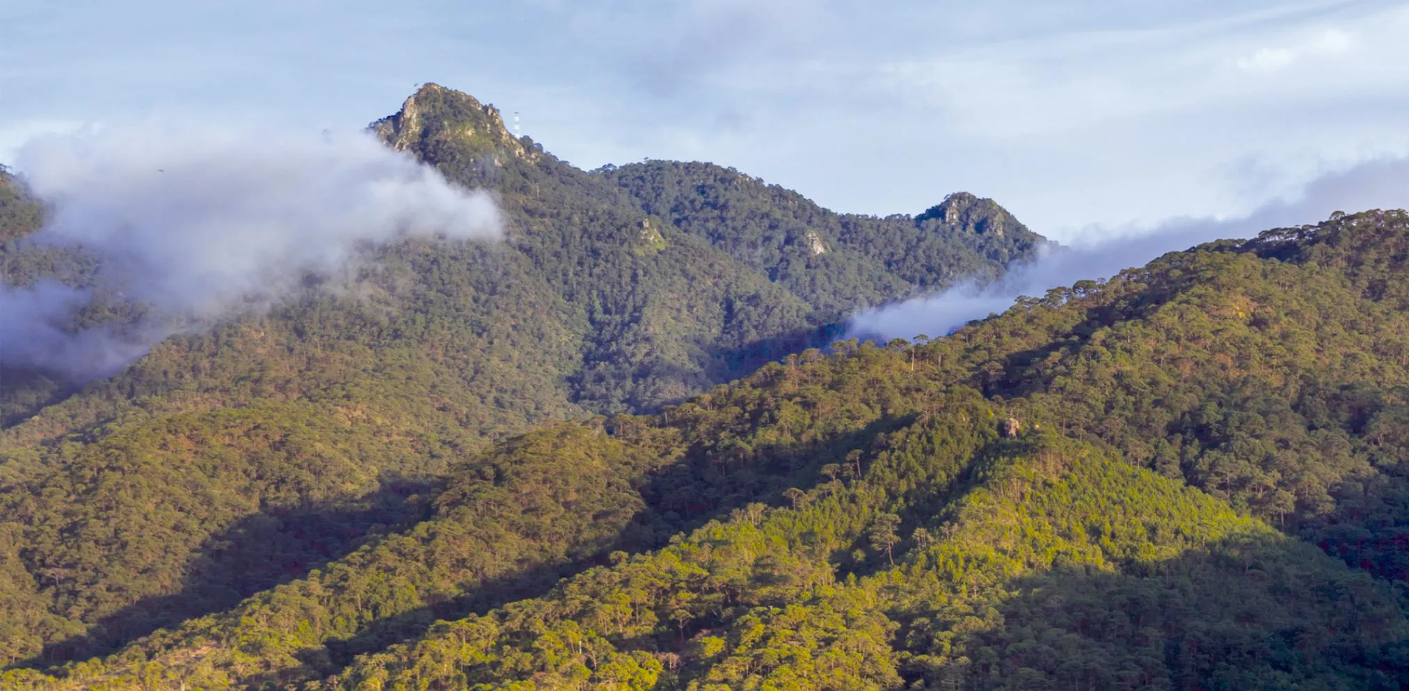 Nota sobre  Conociendo los atractivos de San Sebastián del Oeste