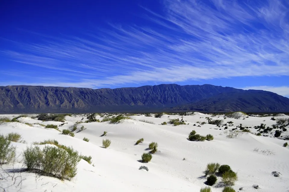 Nota sobre Turismo de naturaleza en Coahuila