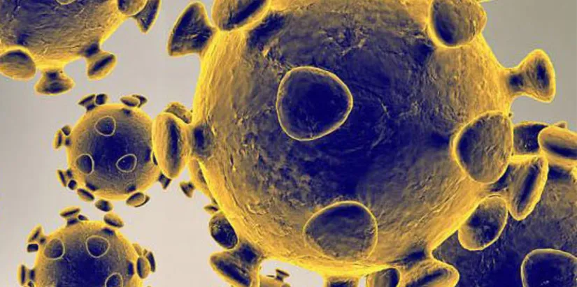 Nota sobre Estados Unidos investiga si Covid 19 fue creado en un laboratorio chino