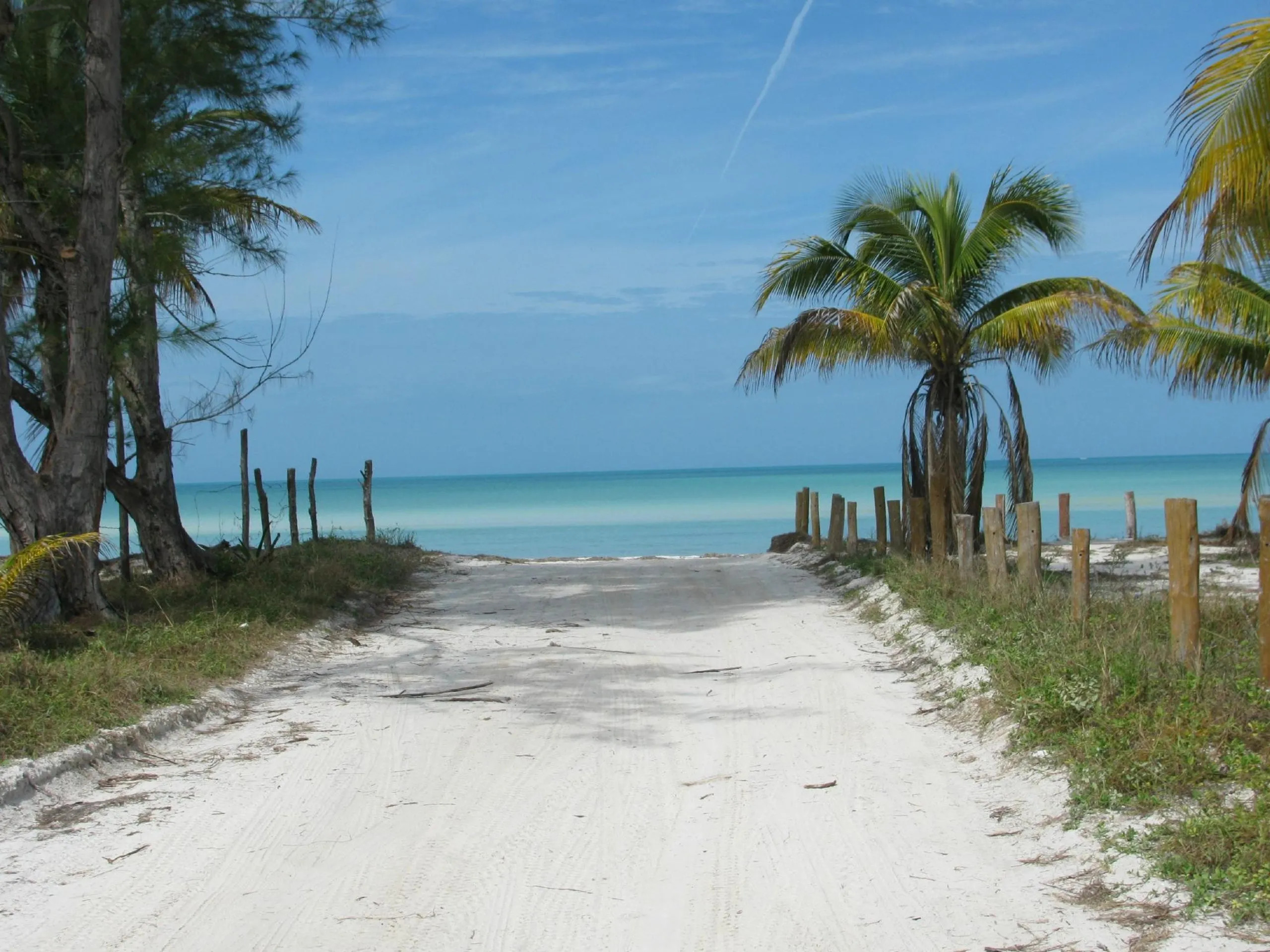 Nota sobre  Caribe mexicano: Pobladores de Holbox rechazan turismo por temor a contagios de Covid 19 