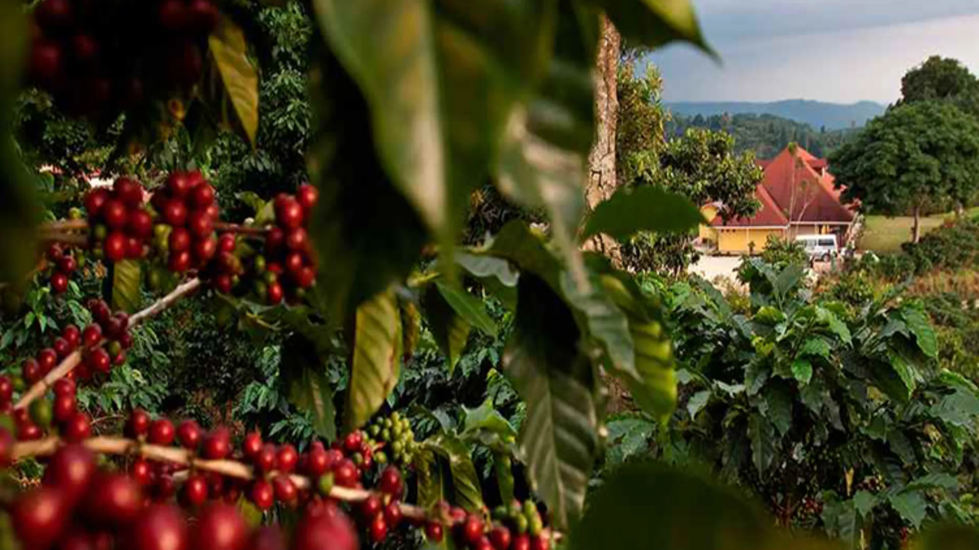 Nota sobre  Lo mejor para visitar en Zacatlan de las Manzanas, Puebla