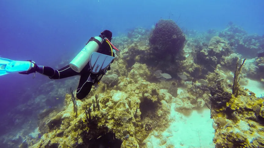 Nota sobre Cuáles son las mejores actividades que puedo disfrutar durante mis vacaciones en Cancún