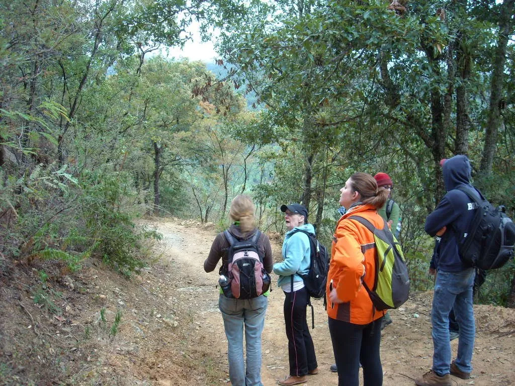 Nota sobre Oaxaca: un estado lleno de aventuras