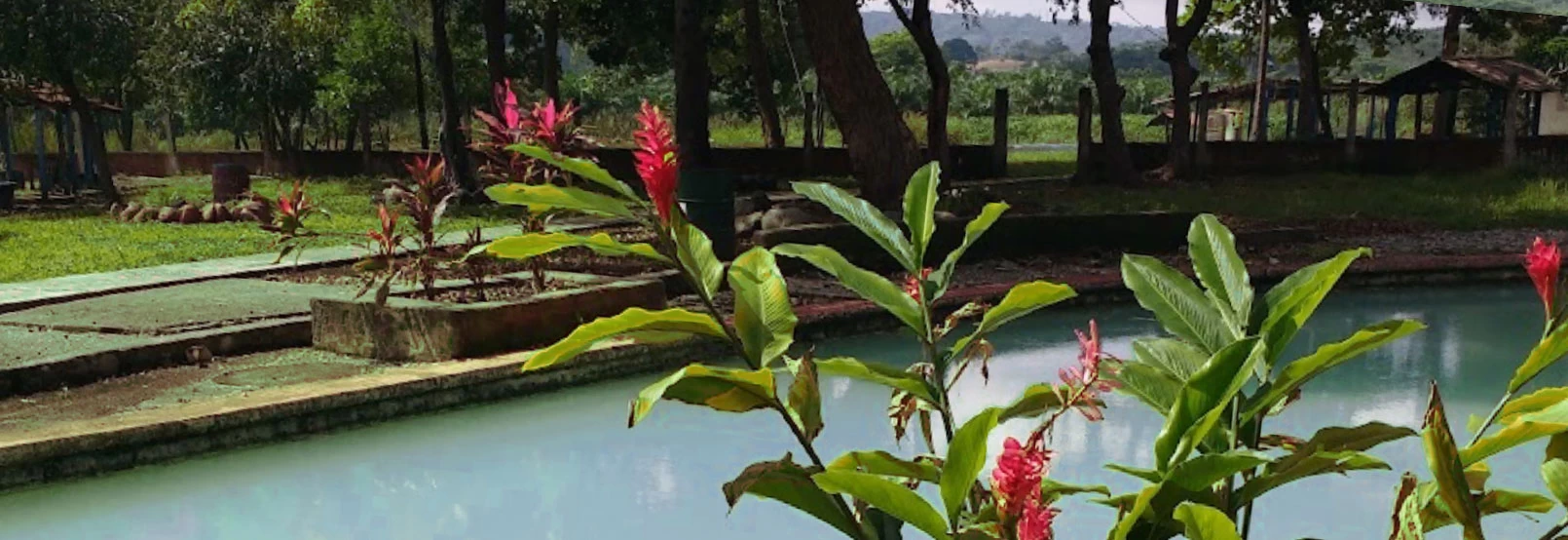 Nota sobre El Parque Acuático Reino de Atzimba, Michoacán