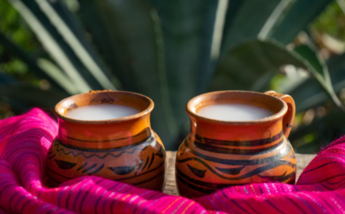 Nota sobre Pulque, el néctar de los dioses