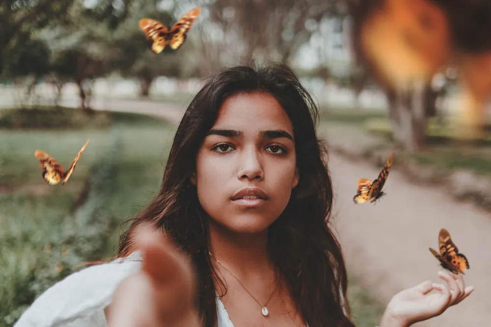 Imagen de La Mariposa Monarca en Mexico